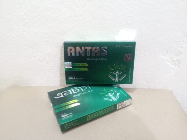 Antus